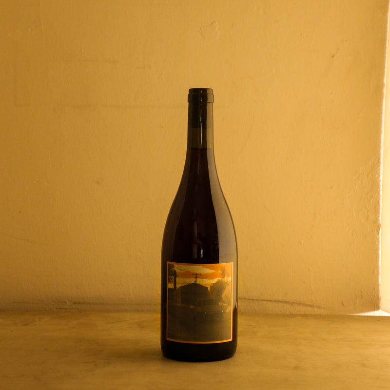 2023 Little Reddie ‘Infringement'