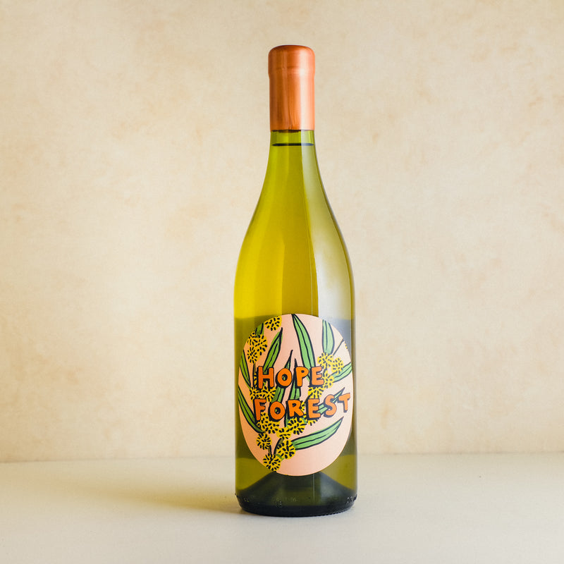 2025 Worlds Apart ‘Hope Forest’